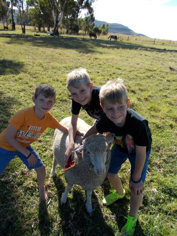 Forellenhof Guest Farm Wakkerstroom Zewnętrze zdjęcie