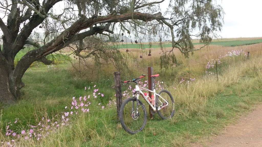 Forellenhof Guest Farm Wakkerstroom Zewnętrze zdjęcie